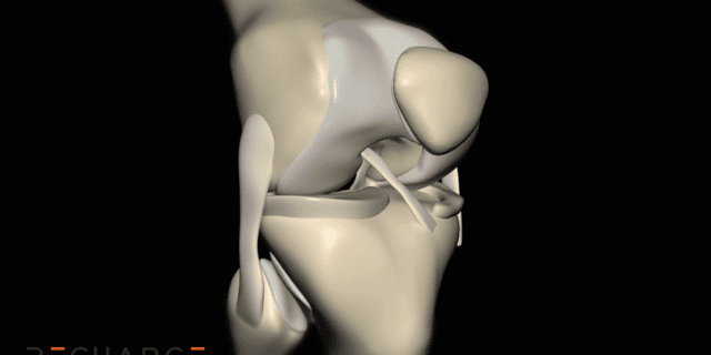 ACL injury rehab physical therapy